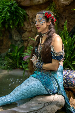 _PEM8580.jpg